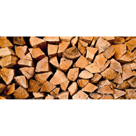 Chaudière bois à gazéification Domusa LIGNUM NG 20 – Image 4